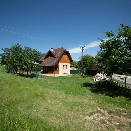 Holiday home Planinska Kuca Pantelic Sljivovica (Zlatibor)