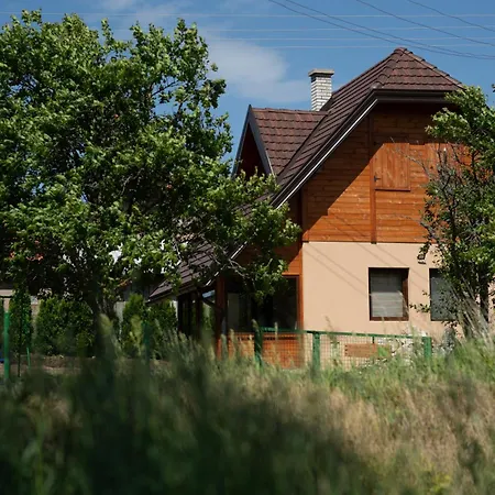 Planinska Kuca Pantelic Holiday home *